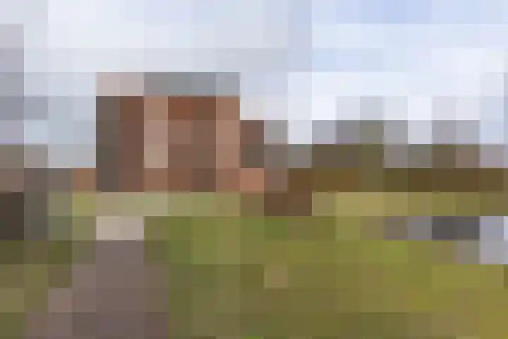 Tuorrebout 54 Burgum thumbnail 7