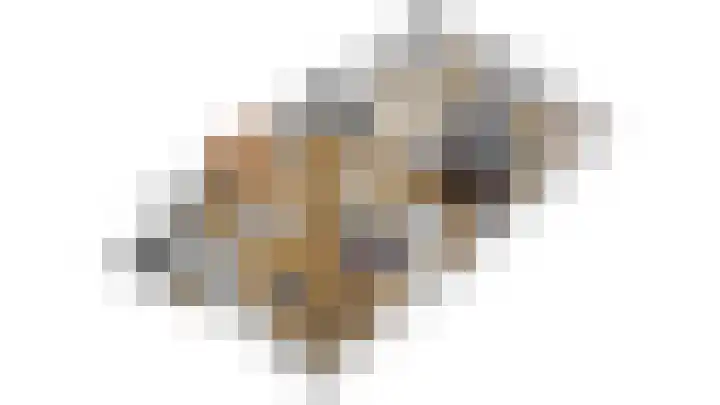 Tuorrebout 90 Burgum thumbnail 17