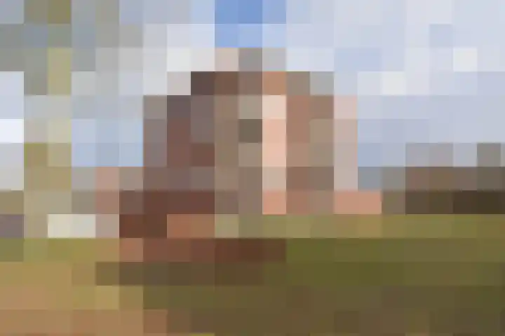 Tuorrebout 90 Burgum thumbnail 4