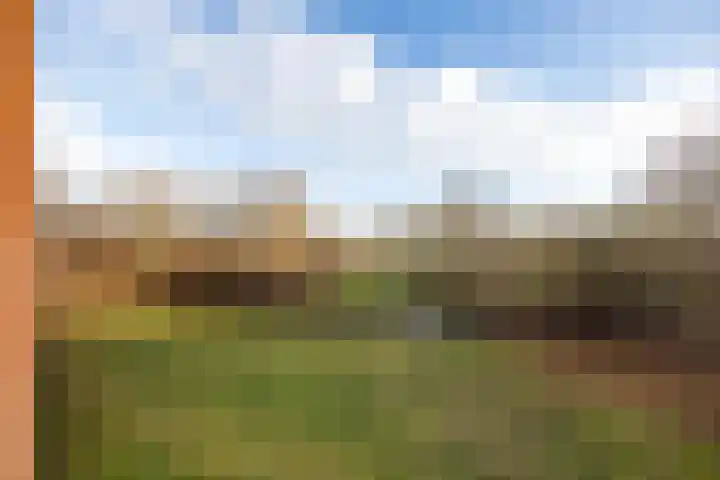 Tuorrebout 92 Burgum thumbnail 14