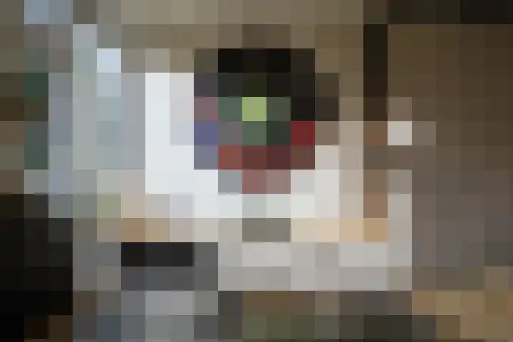 Turandotdreef 11 Utrecht thumbnail 5