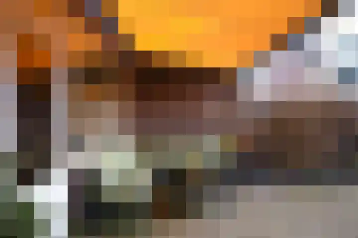 Turandotdreef 11 Utrecht thumbnail 8