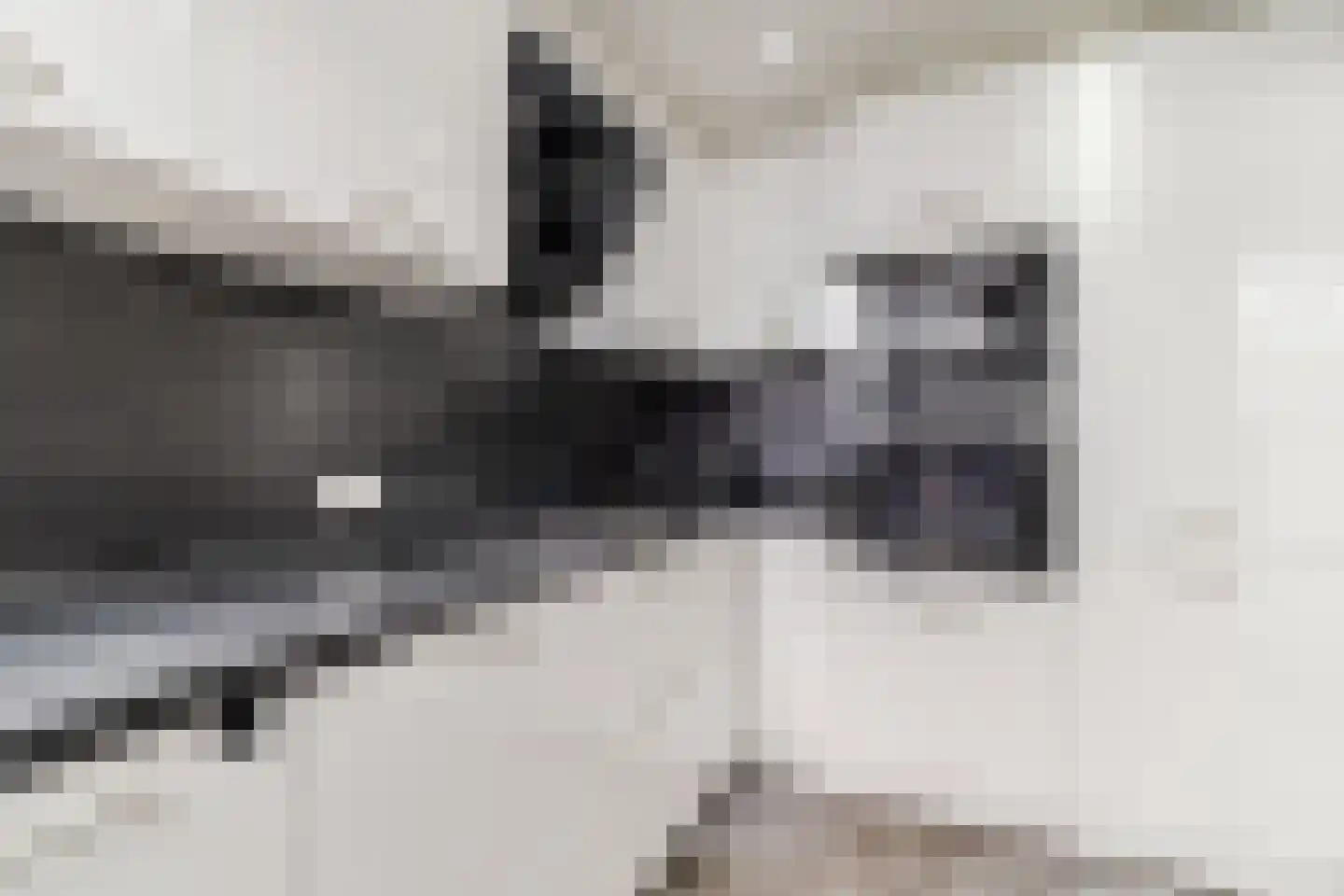 Turandotdreef 15 Utrecht thumbnail 6