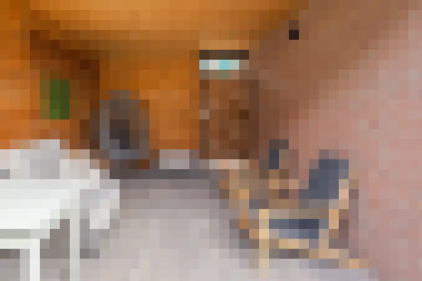 Turandotdreef 16 Utrecht thumbnail 18
