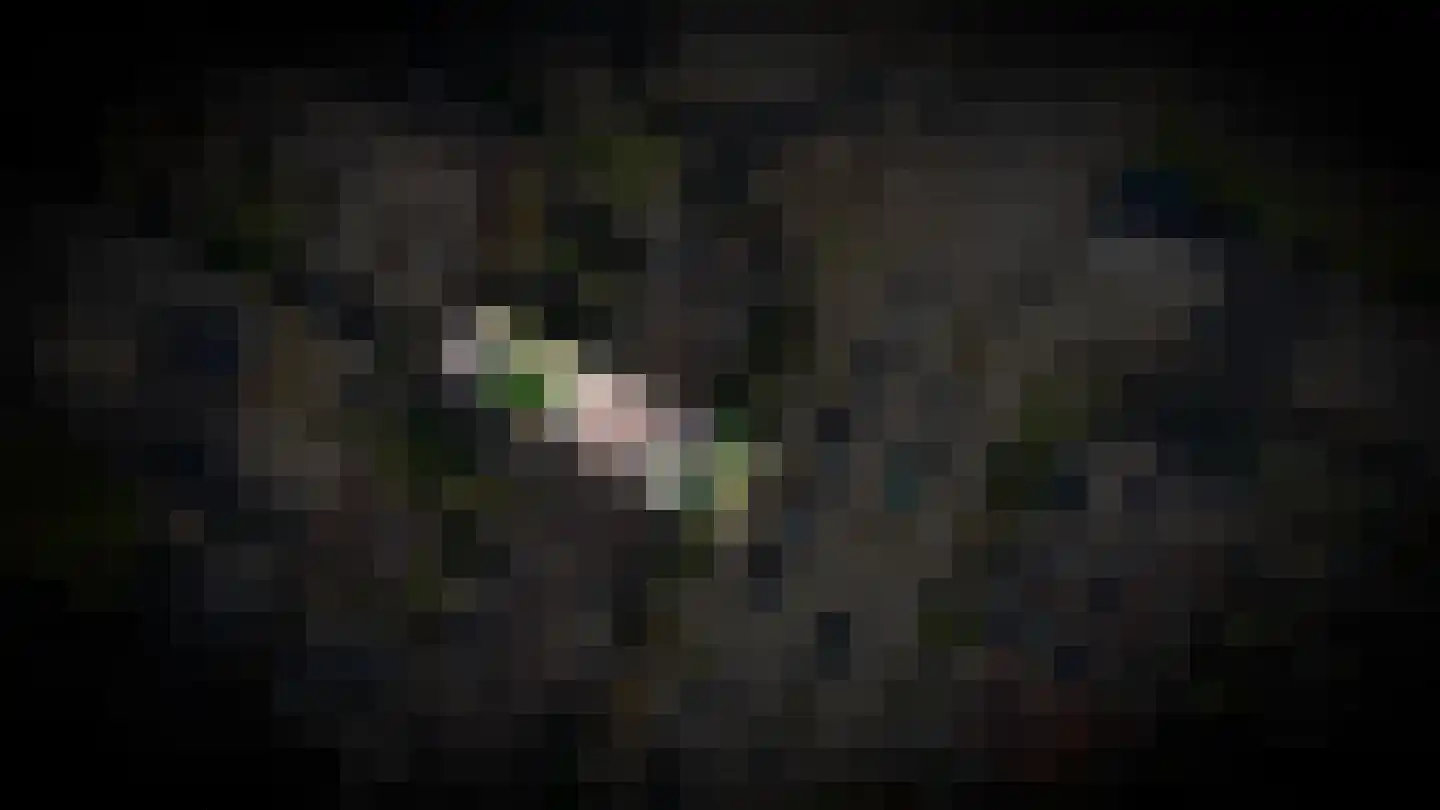Turandotdreef 5 Utrecht thumbnail 36