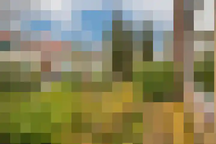 Turandotdreef 5 Utrecht thumbnail 7