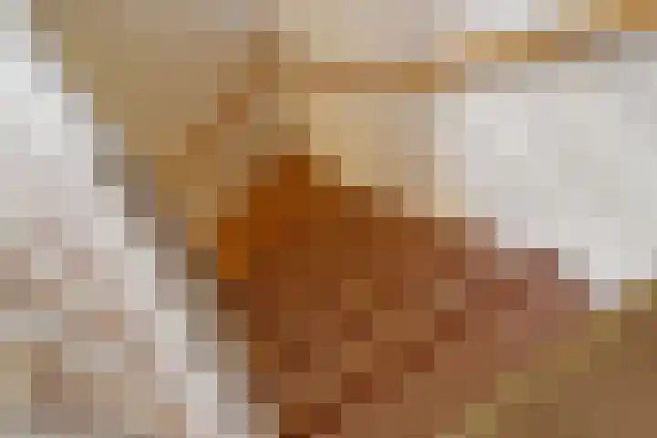 Turandotdreef 6 Utrecht thumbnail 20