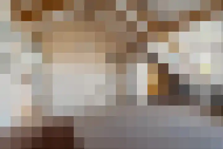 Turandotdreef 6 Utrecht thumbnail 28