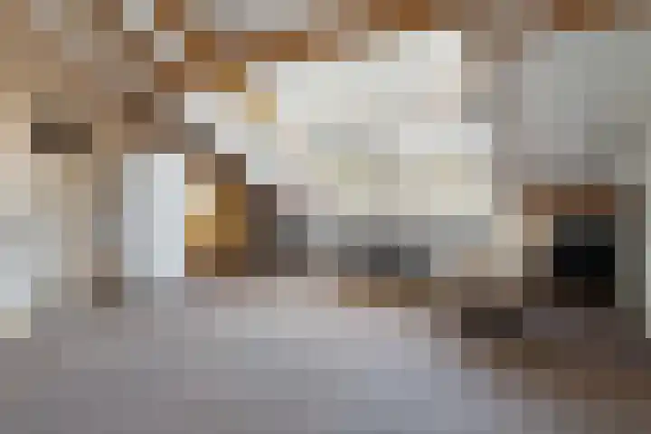 Turandotdreef 6 Utrecht thumbnail 29