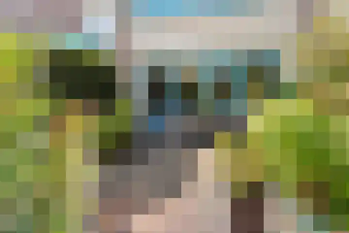 Turandotdreef 6 Utrecht thumbnail 31