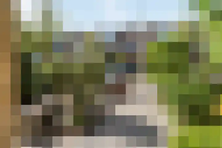 Turandotdreef 6 Utrecht thumbnail 8