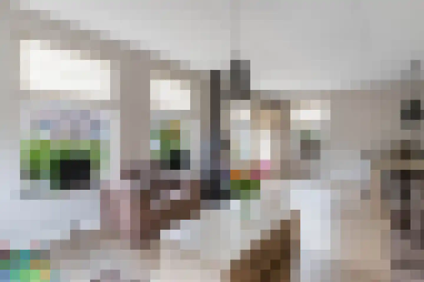 Turbine 4 Espel thumbnail 12