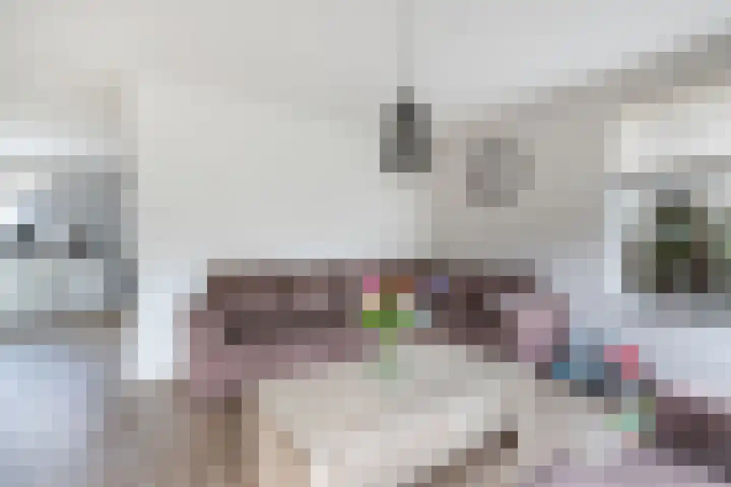 Turbine 4 Espel thumbnail 13
