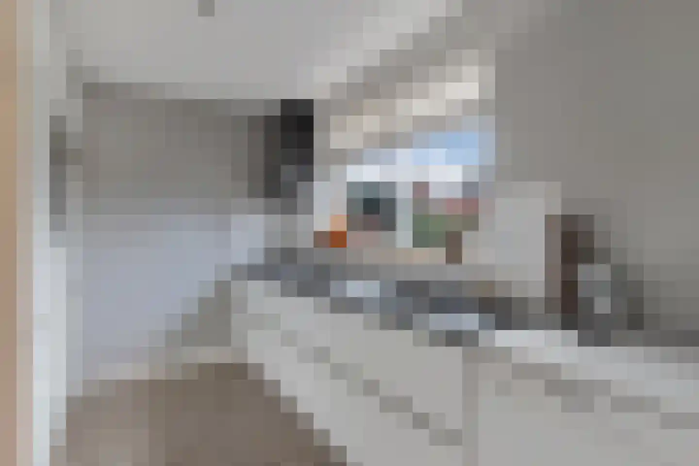 Turbine 4 Espel thumbnail 19