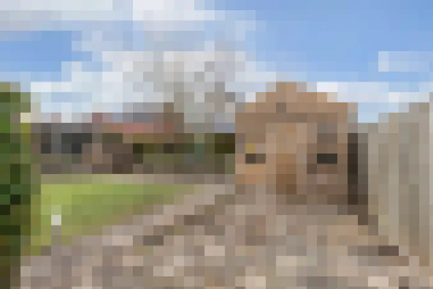 Turbine 4 Espel thumbnail 25