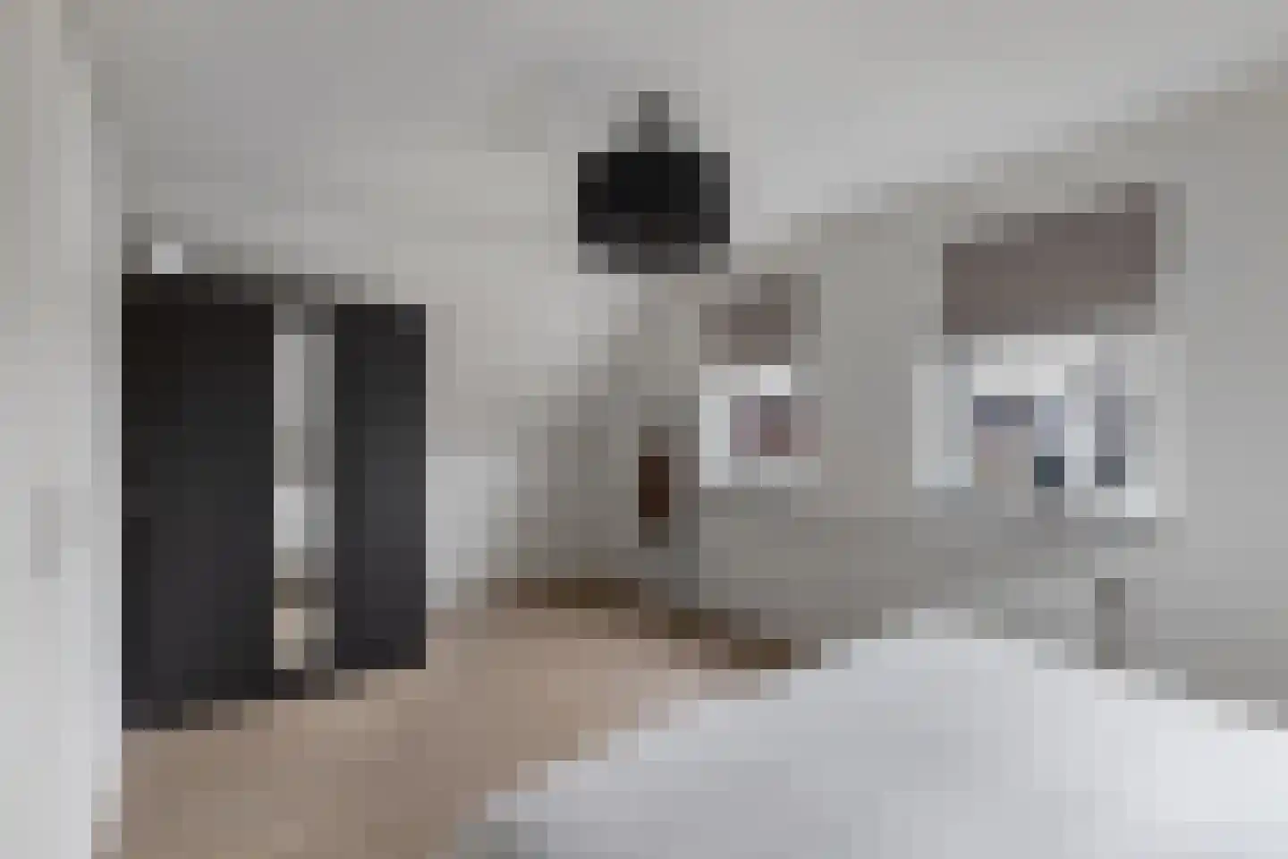 Turbine 4 Espel thumbnail 33