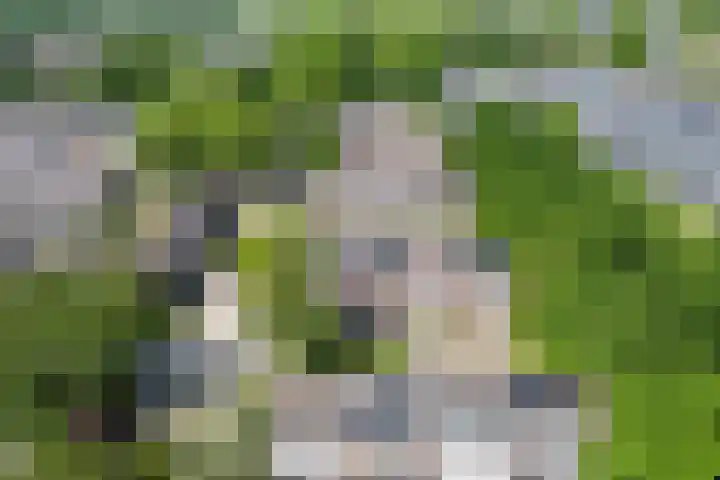 Turelurenlaan 12 Vinkeveen thumbnail 20