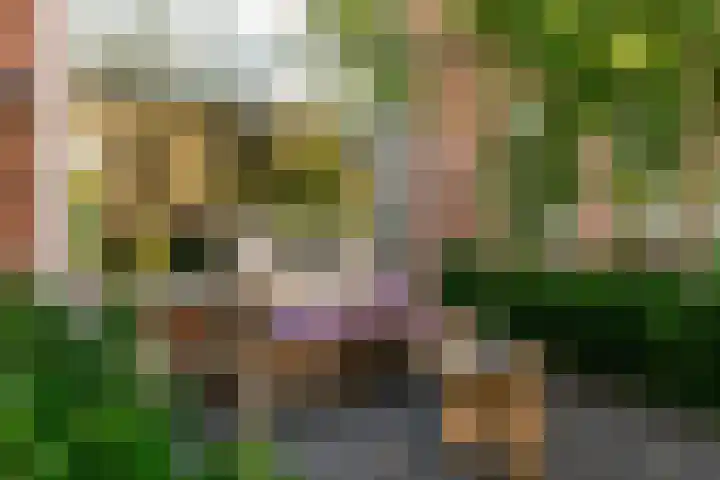 Turelurenlaan 6 Vinkeveen thumbnail 37