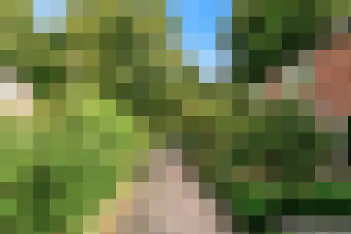 Turelurenlaan 6 Vinkeveen thumbnail 7