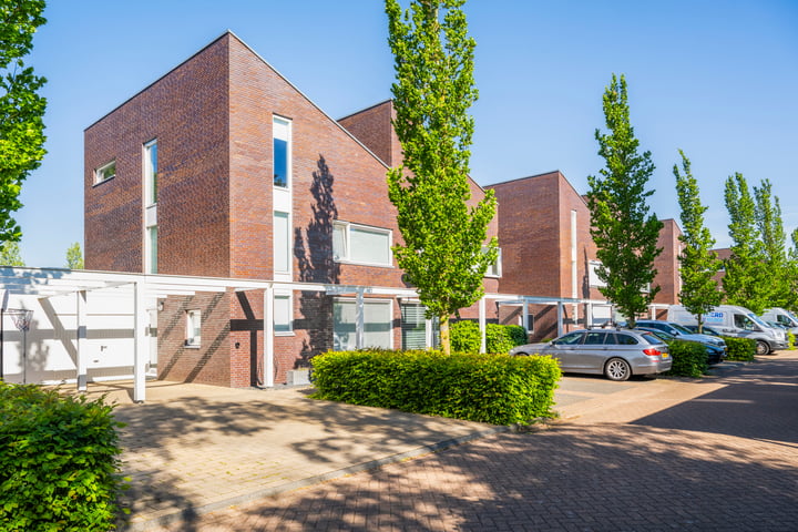 Tureluur 10 en Waspik foto