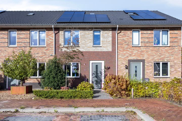 Tureluur 10 dans Zevenhuizen photo