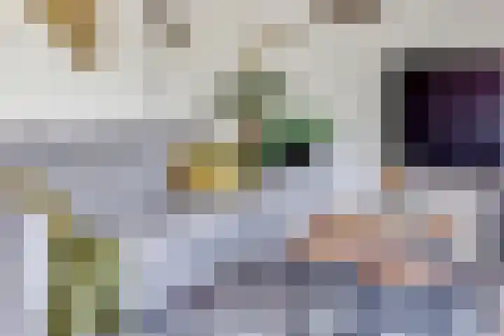 Tureluur 10 Elburg thumbnail 11