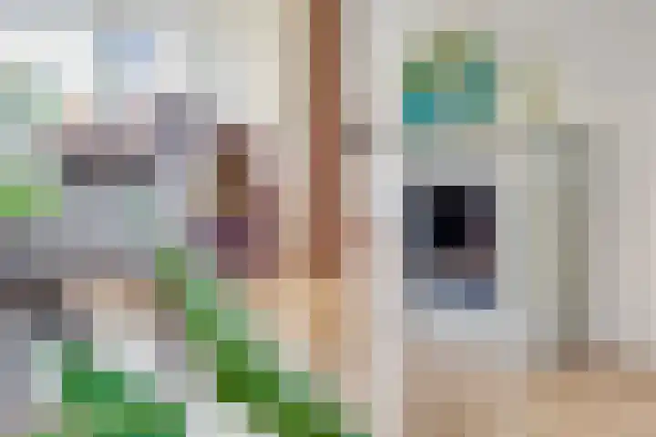 Tureluur 10 Elburg thumbnail 13