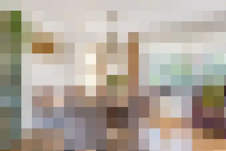 Tureluur 10 Elburg thumbnail 14