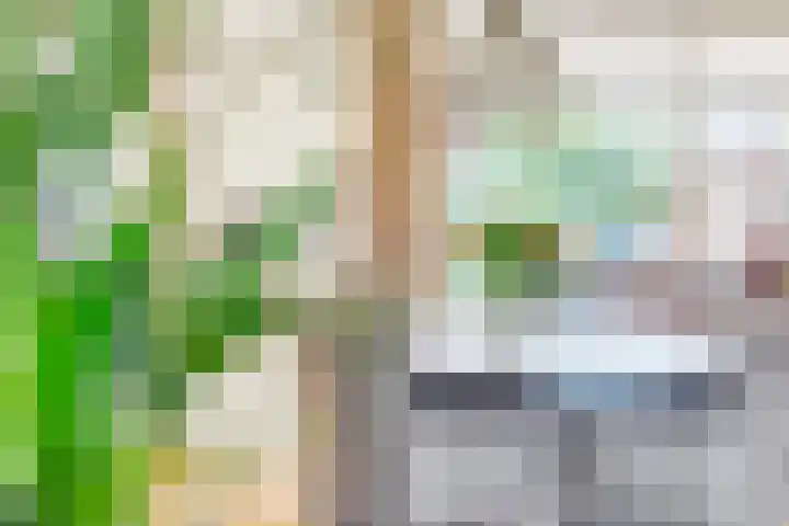 Tureluur 10 Elburg thumbnail 15