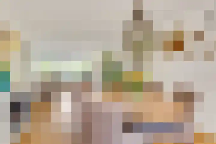 Tureluur 10 Elburg thumbnail 16