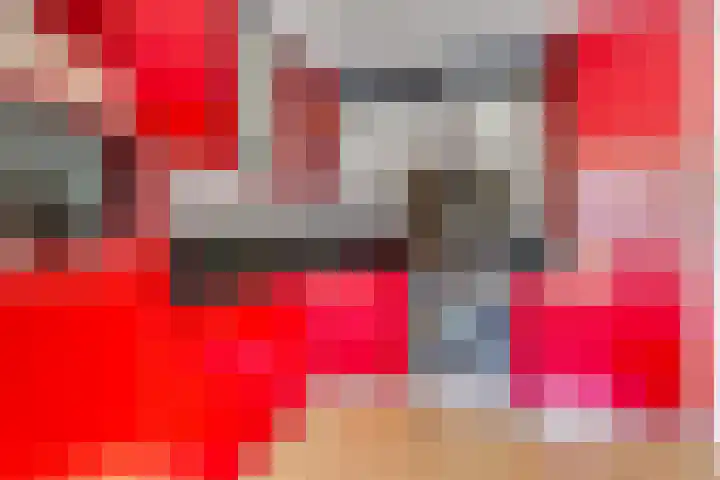 Tureluur 10 Elburg thumbnail 18