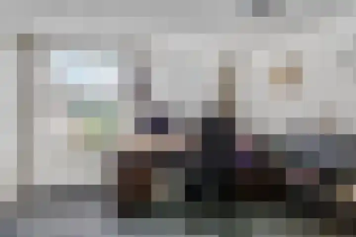 Tureluur 10 Elburg thumbnail 22