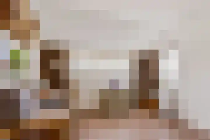 Tureluur 10 Elburg thumbnail 26