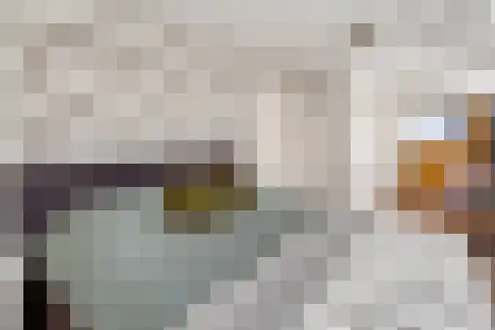 Tureluur 10 Elburg thumbnail 28