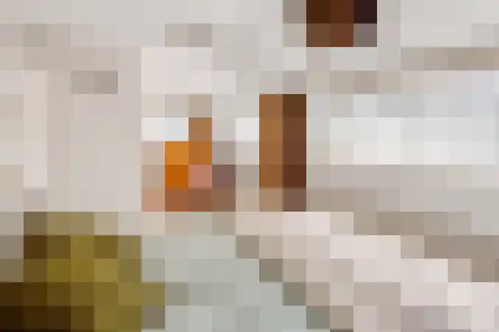 Tureluur 10 Elburg thumbnail 29
