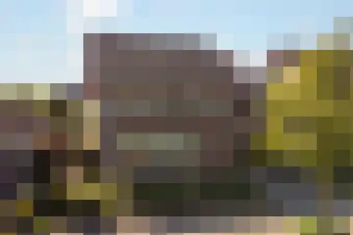 Tureluur 10 Elburg foto 3