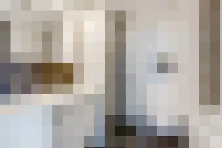 Tureluur 10 Elburg thumbnail 31