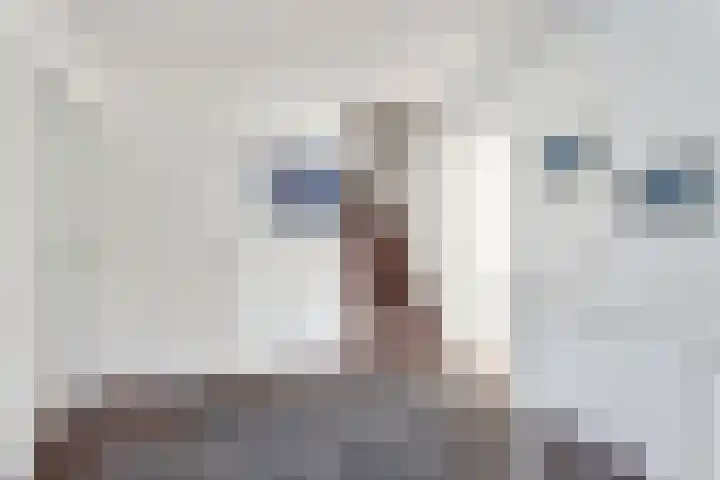 Tureluur 10 Elburg thumbnail 33