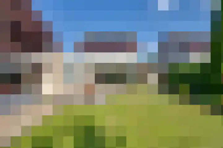 Tureluur 10 Elburg thumbnail 35