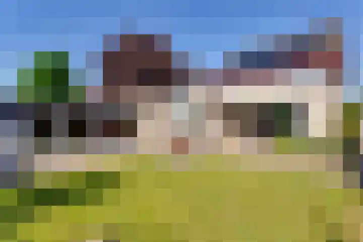 Tureluur 10 Elburg thumbnail 37