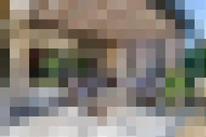 Tureluur 10 Elburg thumbnail 38
