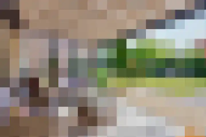Tureluur 10 Elburg thumbnail 39