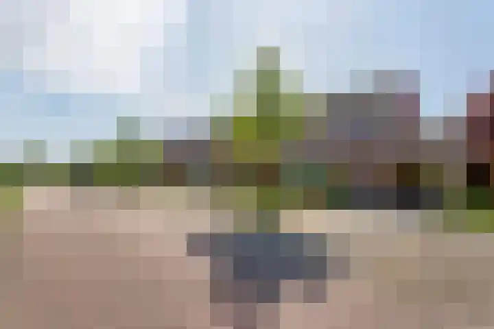 Tureluur 10 Elburg thumbnail 4