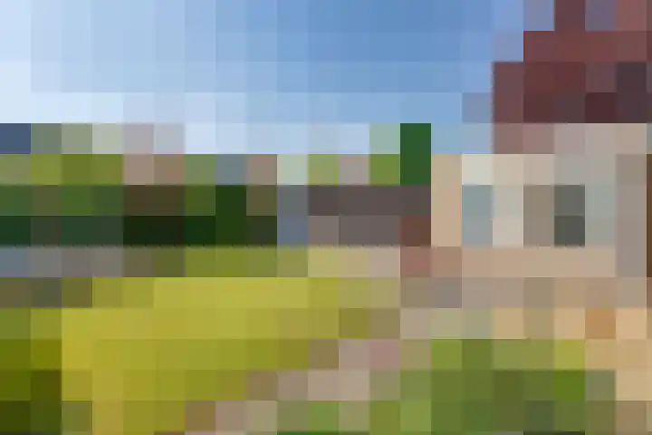 Tureluur 10 Elburg thumbnail 40