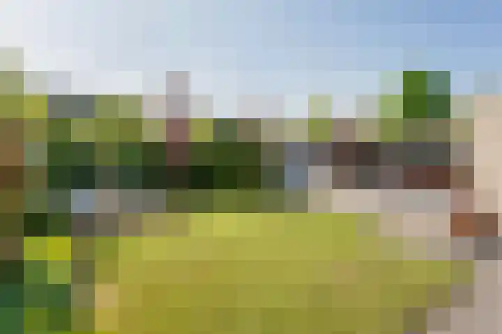 Tureluur 10 Elburg thumbnail 41