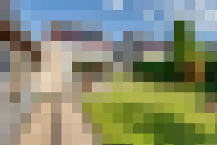Tureluur 10 Elburg thumbnail 44