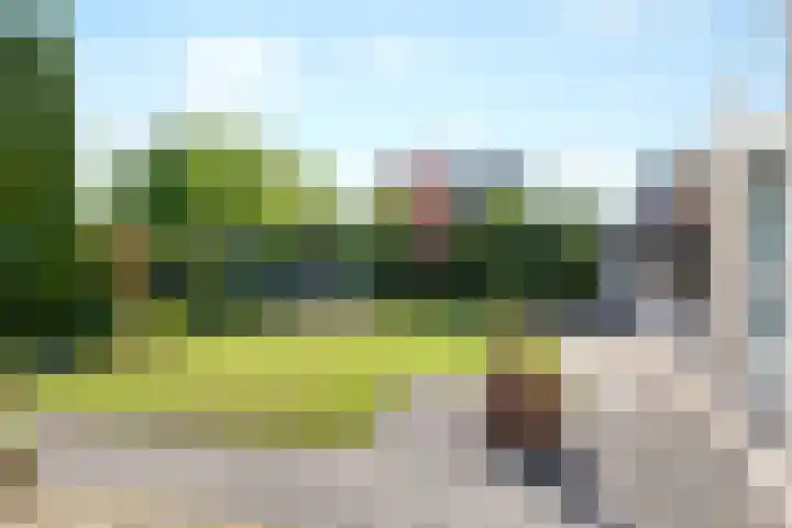 Tureluur 10 Elburg thumbnail 45