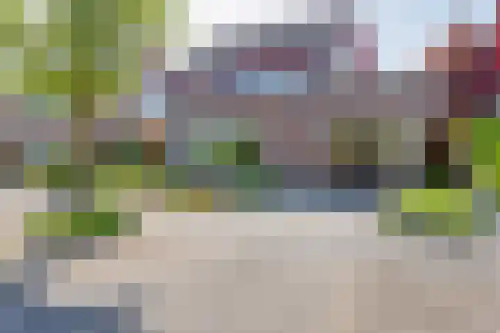 Tureluur 10 Elburg thumbnail 46