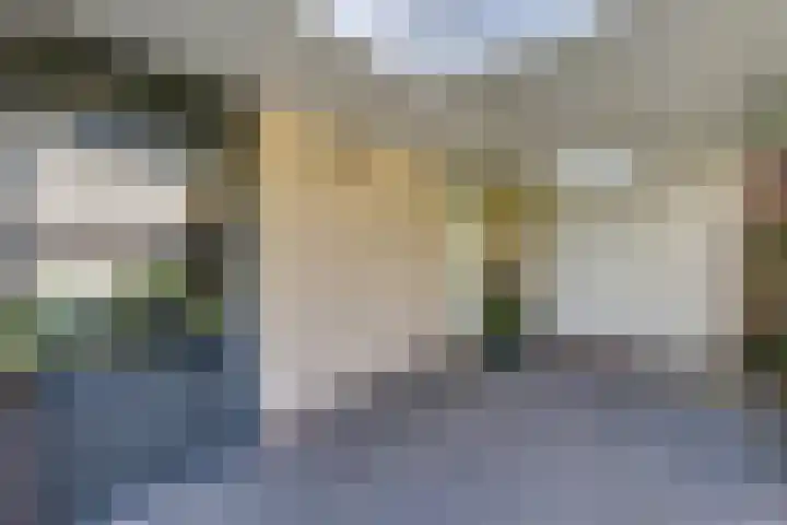 Tureluur 10 Elburg thumbnail 47