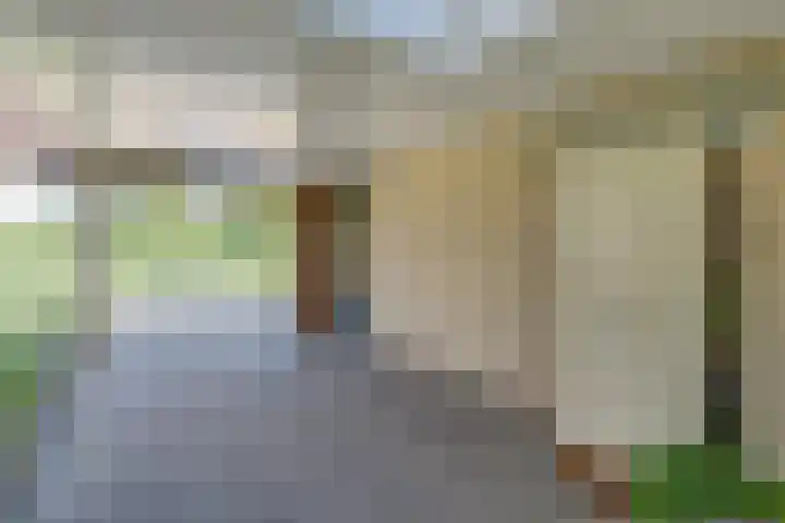 Tureluur 10 Elburg thumbnail 5